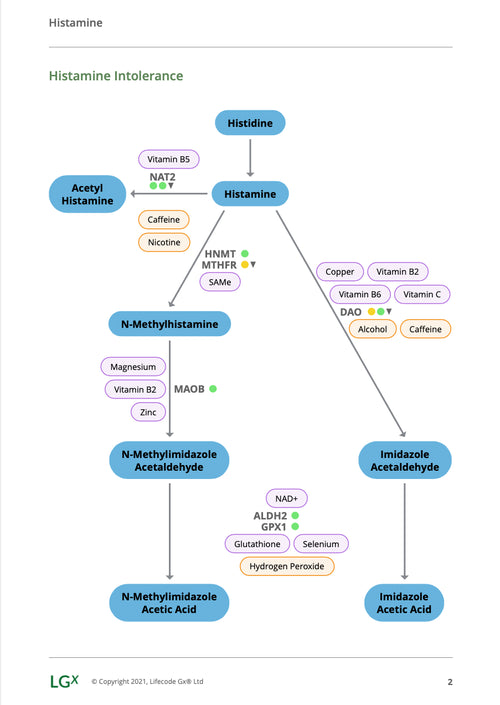Histamine + Core Genetic Test