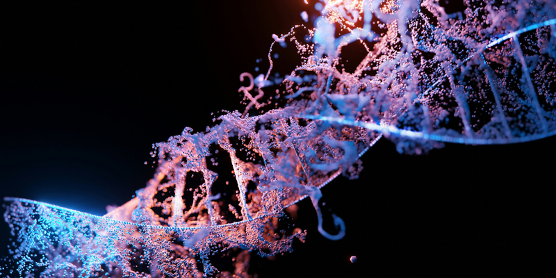 How Your Genes Influence Histamine Processing