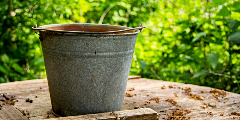 Understanding Your Histamine Bucket: Managing Your Body's Capacity