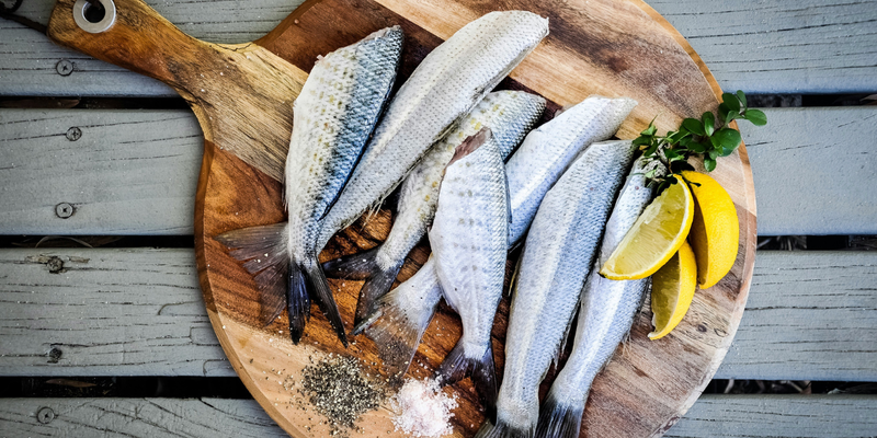 Navigating Fish and Seafood with Histamine Intolerance: A Tolerance Kitchen Guide