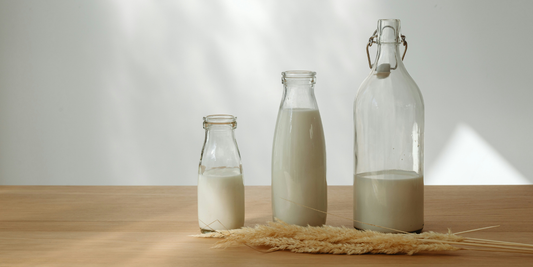 Understanding Lactose Intolerance