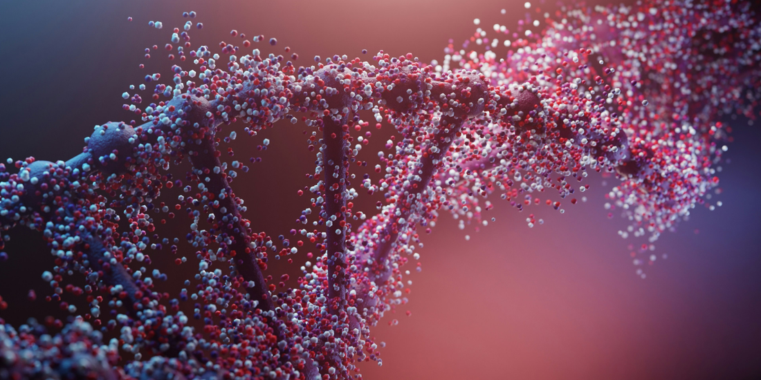 What is Nutrigenomics? How Your Genes Shape Your Response to Food and Histamine