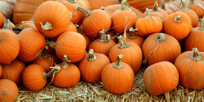 A Guide to October's Harvest: Pumpkins, Mushrooms and Nuts