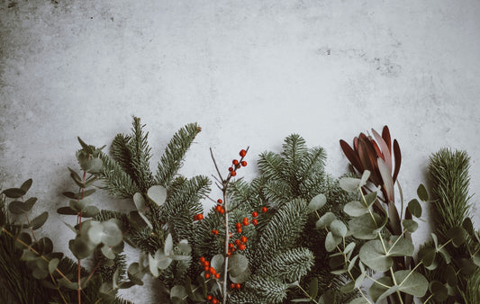 Managing Histamine During the Festive Season