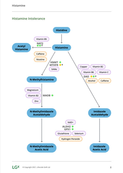 Histamine + Core Genetic Test