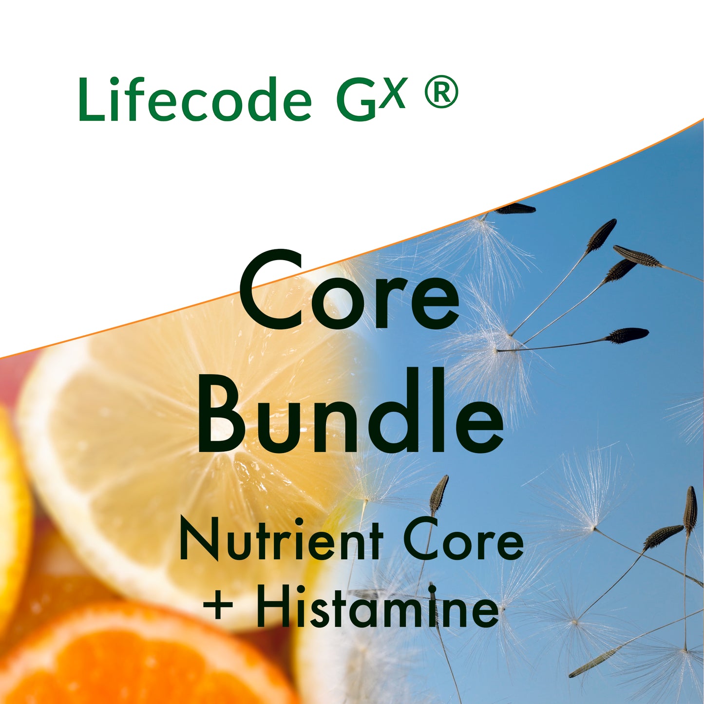 Histamine + Core Genetic Test