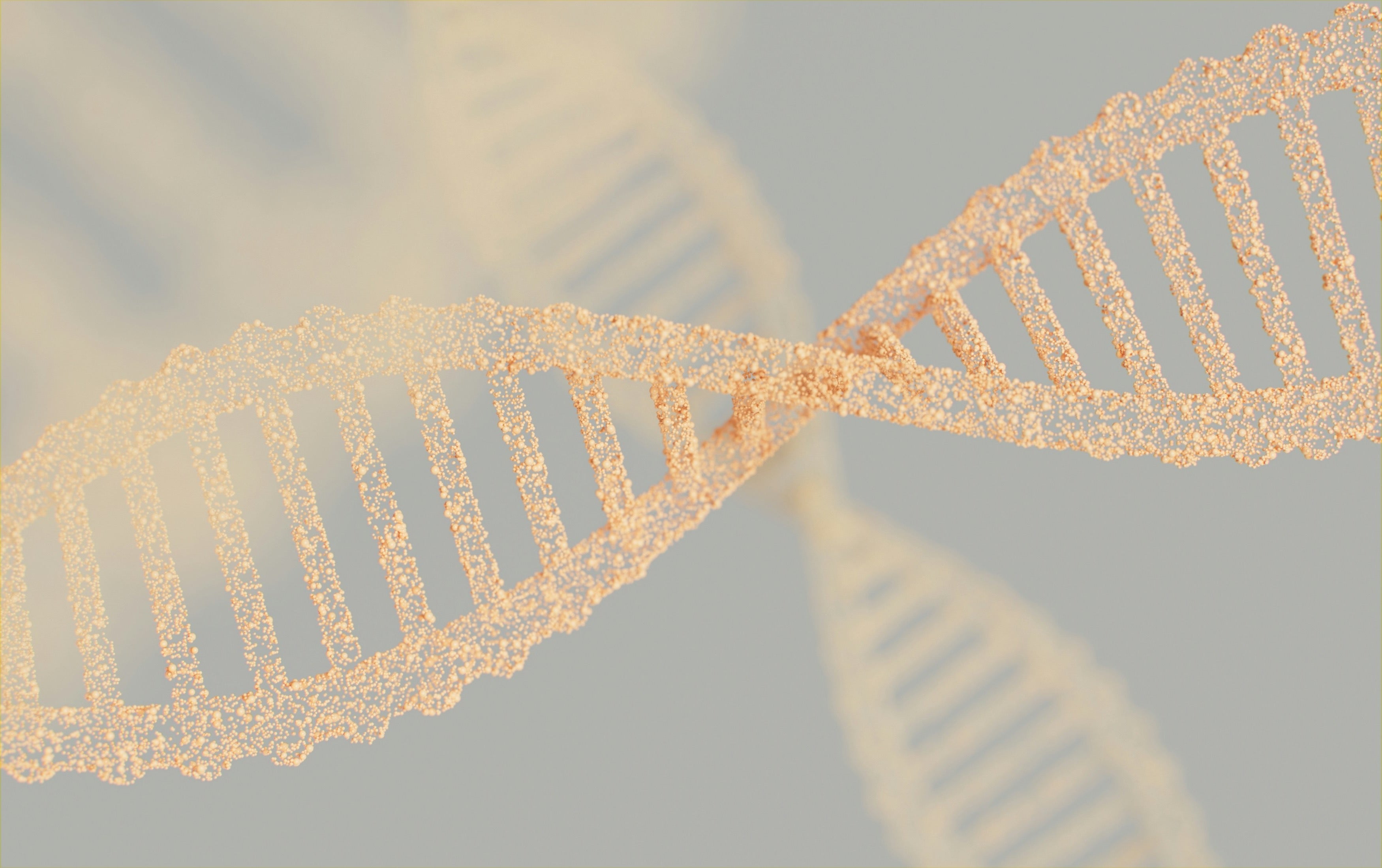 Nutrigenomic Testing